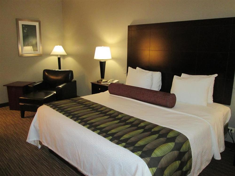 Best Western Plus O'Hare International South Hotel Franklin Park Δωμάτιο φωτογραφία